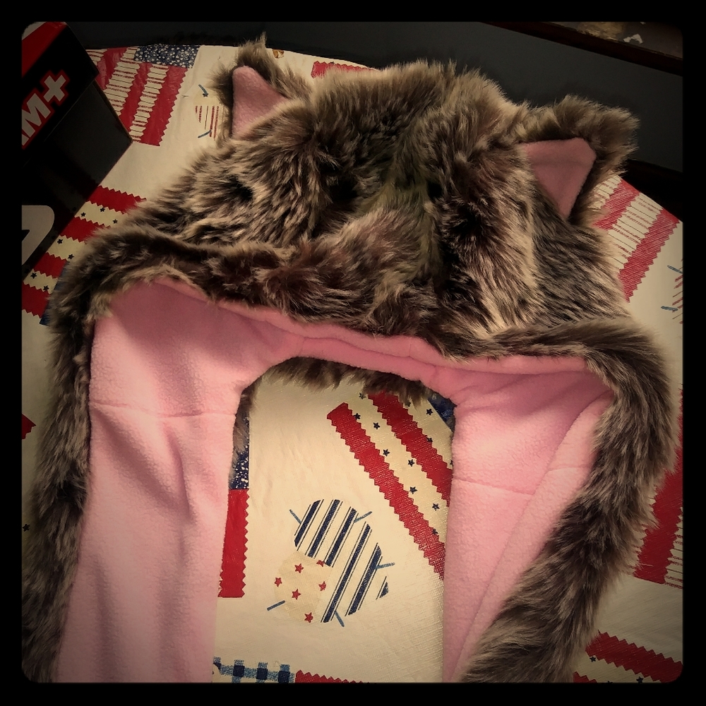 Cat ears hood scarf glove mitten combo
